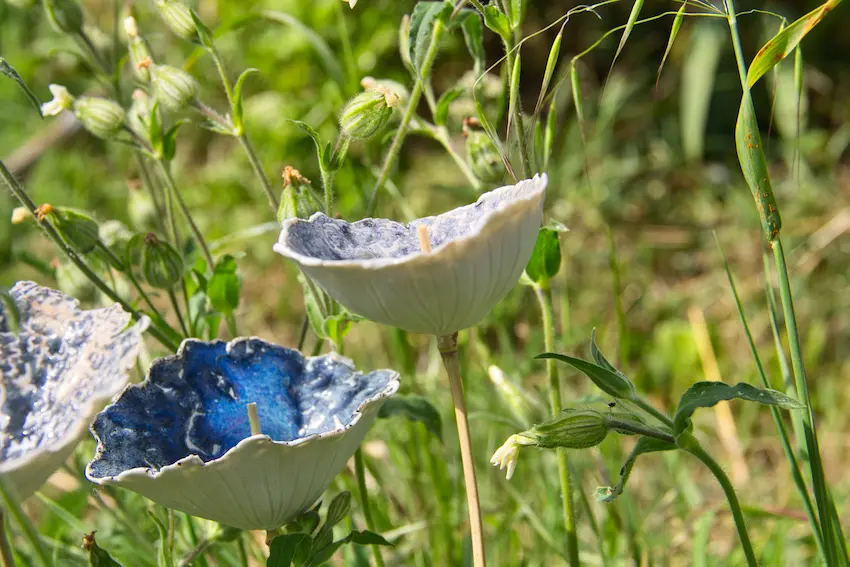 Photo de fleurs en céramique