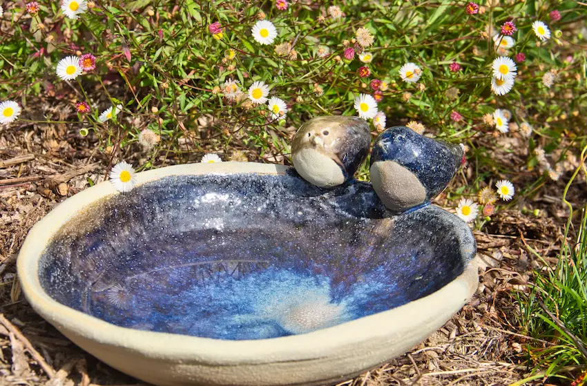 Décoration utile de jardin : bassin pour oiseaux, avec oiseaux en céramique